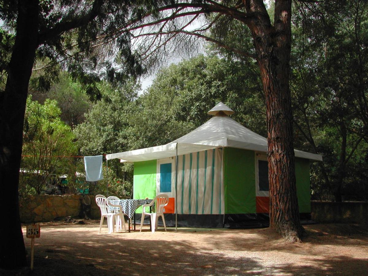Paduella 3*